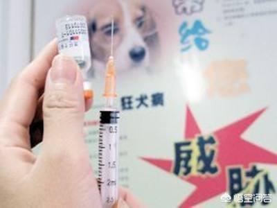 预防性狂犬病疫苗副作用:狂犬疫苗会不会增加制癌风险？