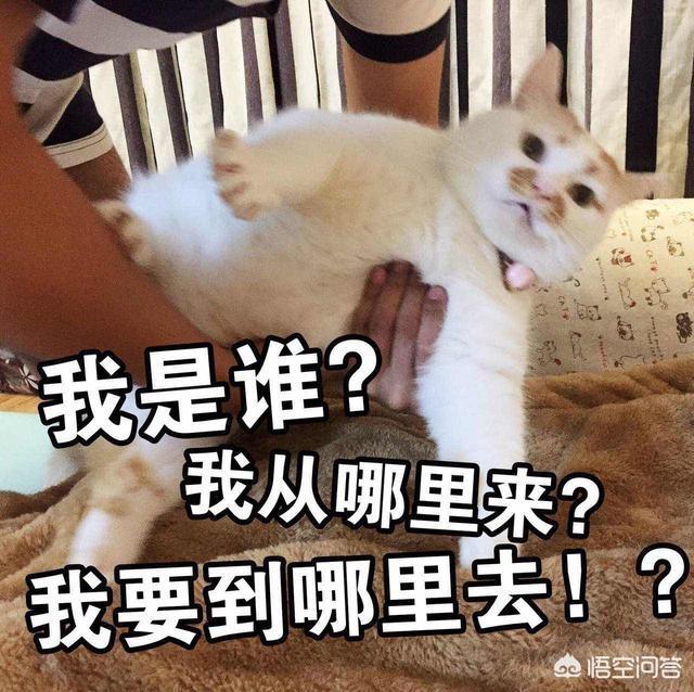 三十岁的人如何才能开始新的人生？