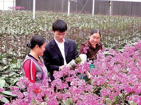 造福鸟招聘:乌鸦和喜鹊可以共同生活吗？