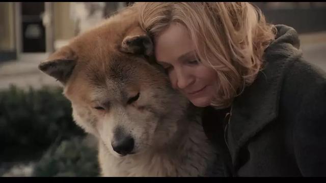 灵犬莱西:今年狗年，大家都知道哪些有关人和狗的感人传说和电影？