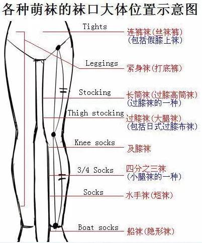 头条问答 - 漫画里,怎样画好动漫人物的腿呢?(2个回答)