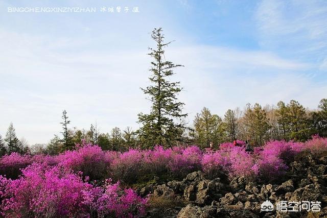你们发现“不明飞行物”了吗？