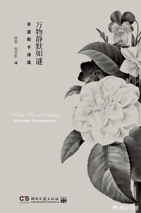 哪一首现代诗戳中你的泪点？