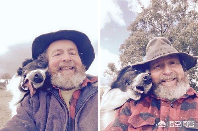 人和狗分开之后，狗狗还会记得以前的主人吗？插图17