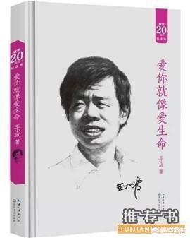 《黄金时代》中，为什么王二和陈清扬最后没能在一起？