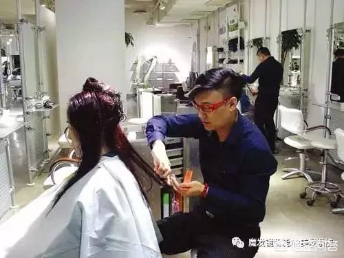 疯狂宠物美发沙龙加速器:哪种牌子的染发剂不伤头发，颜色保持的久？