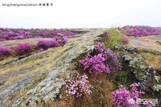 你们发现“不明飞行物”了吗？