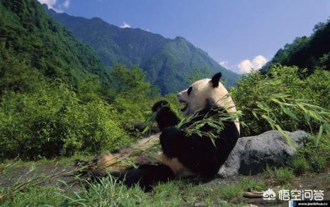 我爱荆门网:你认为哪里的地方方言，比较能听得懂？