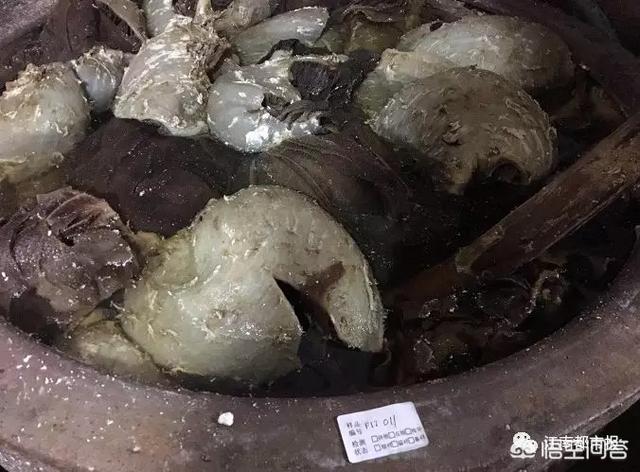 使用双氧水消毒想吐怎么回事:双氧水消毒出来的沫怎么回事 江西南昌一小作坊查出千斤用工业双氧水浸泡的毒牛肚，你怎么看？