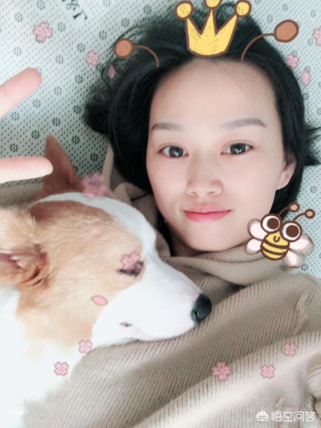 人和狗分开之后，狗狗还会记得以前的主人吗？插图37