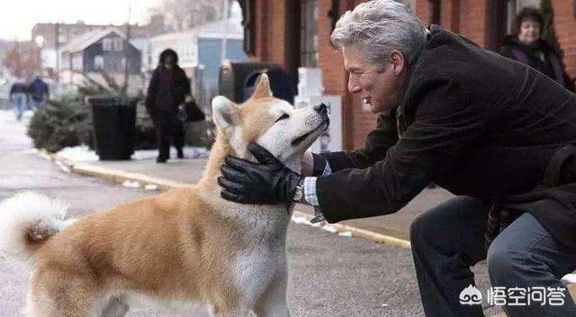 人和狗分开之后，狗狗还会记得以前的主人吗？插图35