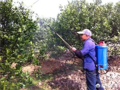 乙酰氨基阿维菌素:乙酰氨基阿维菌素是什么药 阿维菌素可不可以和杀菌剂混用？