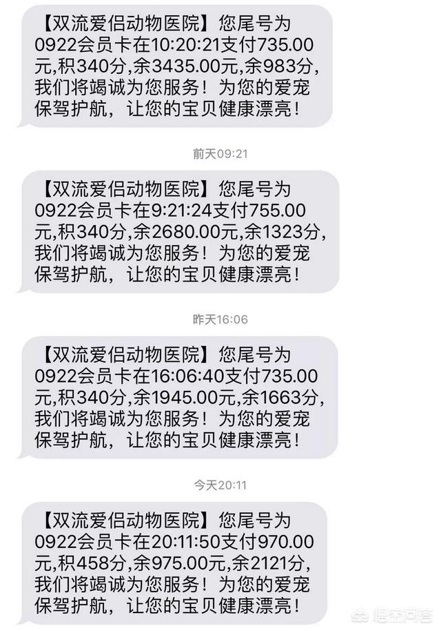 宠物医院软件有哪些:狗友们有没有养宠App推荐？