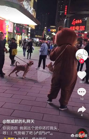 沈阳一女孩,要做治愈系网红,每天下班后扮“布朗熊”去中街给路人惊喜,你怎么看？