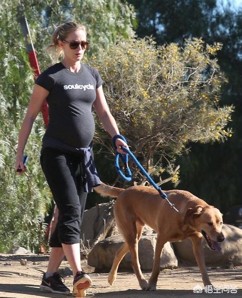 莱姆病症状有什么:犬莱姆病症状 达尔文是如何看待婚姻的？他一生都得过什么病？