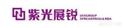 全球十大芯片公司排名:中国大陆有哪些制造芯片的大公司