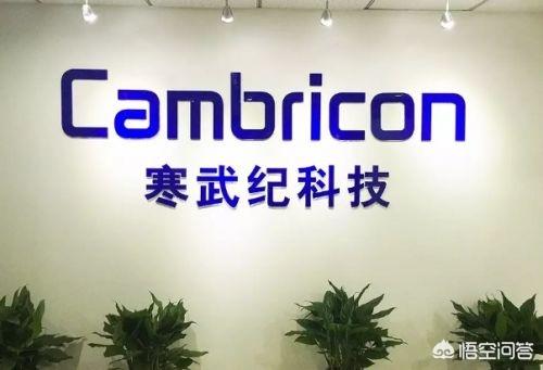 全球十大芯片公司排名:中国大陆有哪些制造芯片的大公司