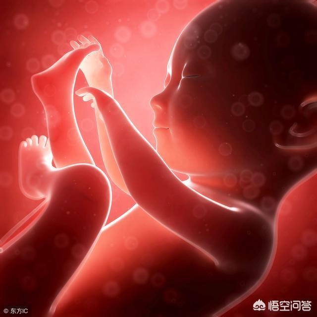 悟空问答 怀孕三个月了 宝宝在肚子里会动吗 104个回答
