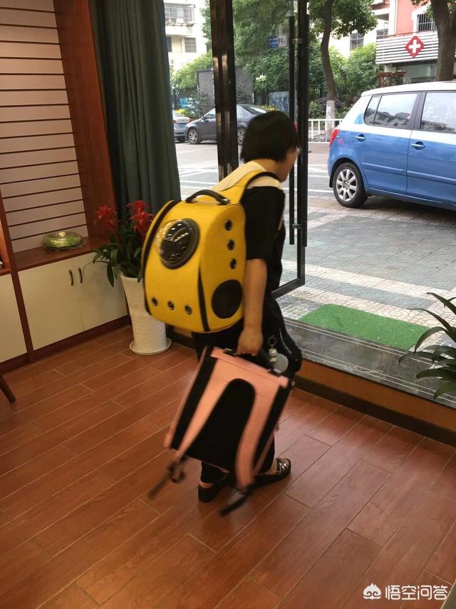 狗身上有条狗身上有跳蚤怎么办:用什么洗澡可以除去狗身上的跳蚤？