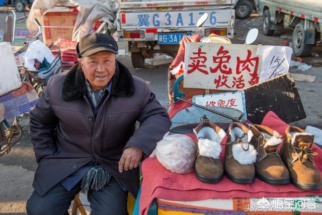长毛兔价格:兔子怎么销售？近年价格怎么样？
