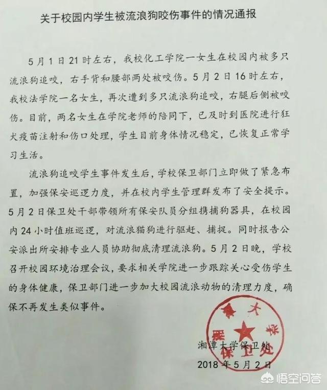 为什么张馨予训狗惨被咬到了:女大学生遭流浪狗袭击，如何避免被狗咬伤？