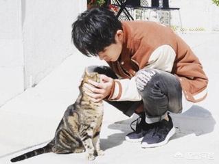 王源长歌行:Tfboys为什么能连续几年稳坐顶流