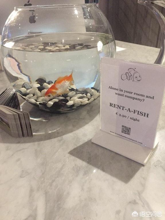 斯塔特勒酒店灵异事件:世界上有哪些奇特的酒店？