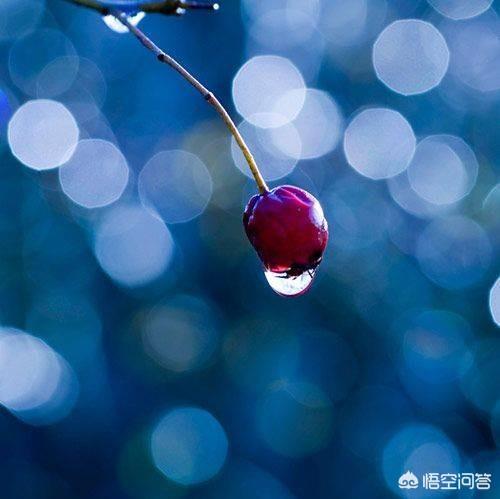 如何委婉的表达“我爱你”？