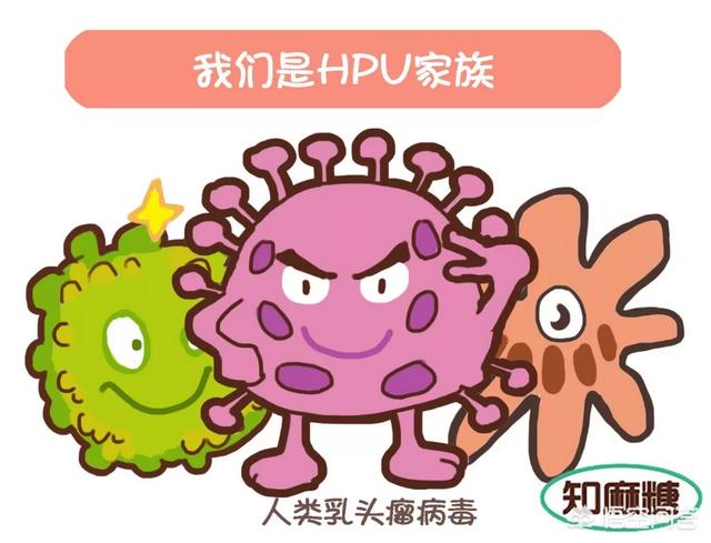 HPV是什么？