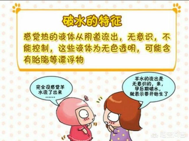 产前预兆:母猪在下猪前会有哪些征兆？有什么需要注意的问题？