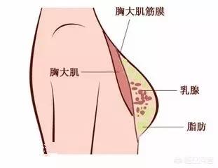 产后<a href=https://maguai.com/list/32-0-0.html target=_blank class=infotextkey>女性</a>丰胸:哺乳期过后，应该怎样丰胸？