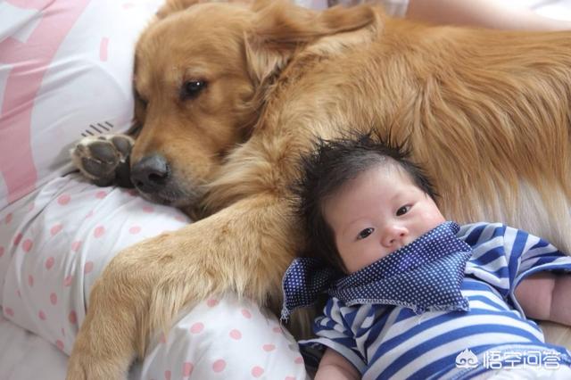 莱姆病症状有什么:犬莱姆病症状 达尔文是如何看待婚姻的？他一生都得过什么病？