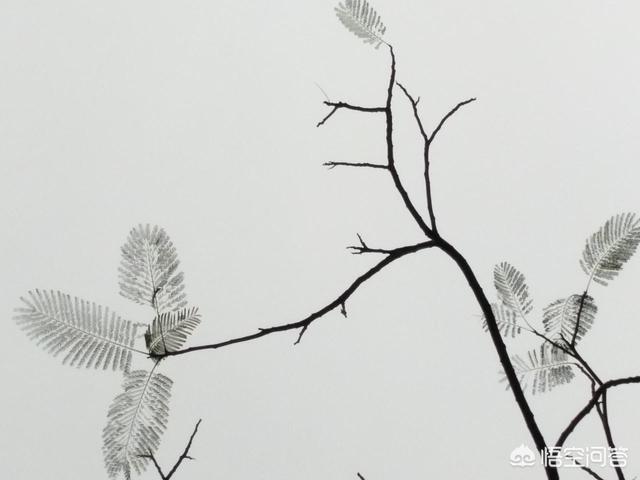 头条问答 - 文章里的"留白"是什么意思?(5个回答)