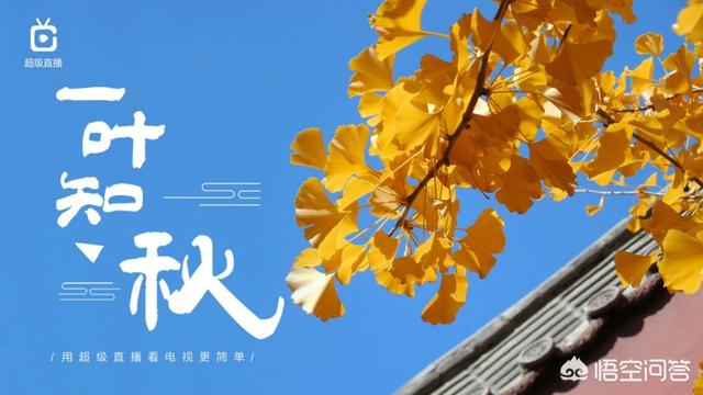 小奶猫直播app官方最新版下载:所有的软件平台属于官方下载会安全可靠吗？ 奶猫直播改版了吗在哪下载