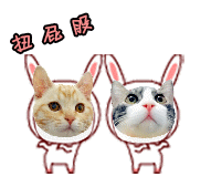 养猫指南百度文库:养猫的话，平民的开销一般是多少？