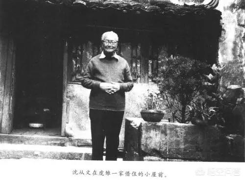 沈从文:沈从文的文学水平到底怎么样？
