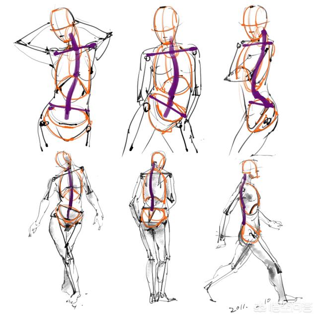 头条问答 - 学人物素描,先学透视还是人体结构?(7个回答)