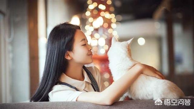 大学自习室贪睡母女猫走红:爱猫的女孩做过什么疯狂的事情？