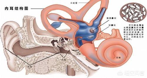 莱姆病症状有什么:莱姆病的症状 耳石症是什么，它有哪些症状？