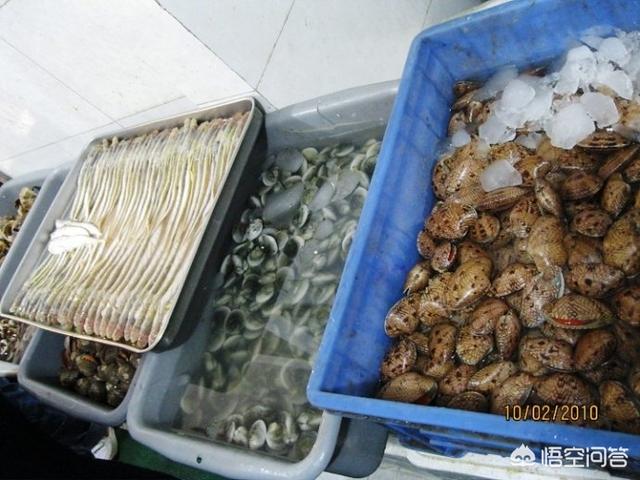 珠海美食节:你觉得中国哪里的人最会吃？其中以什么料吃什么为主？