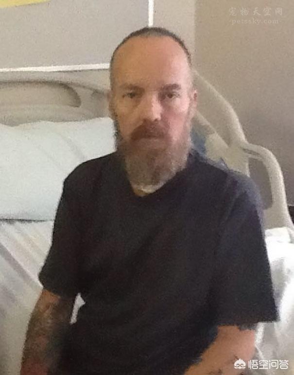 人和狗分开之后，狗狗还会记得以前的主人吗？插图26