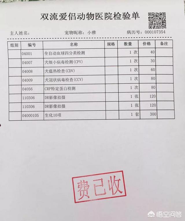 宠物医院软件有哪些:狗友们有没有养宠App推荐？