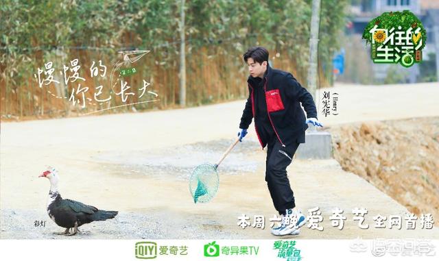牛头梗孙红雷:《新世界》电视剧终于结束了，关于这部雷剧你怎么看？