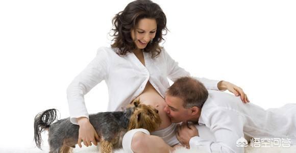 莱姆病症状有什么:犬莱姆病症状 达尔文是如何看待婚姻的？他一生都得过什么病？
