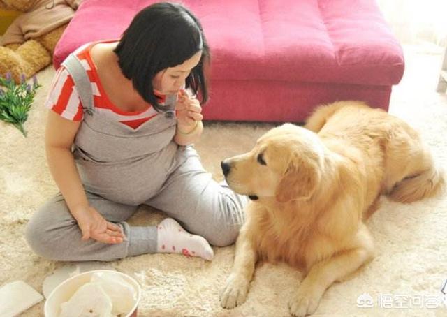 莱姆病症状有什么:犬莱姆病症状 达尔文是如何看待婚姻的？他一生都得过什么病？