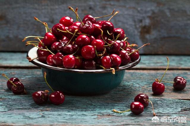 白鹿原樱桃(白鹿原樱桃谷)