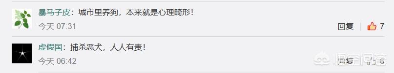 出售纯种泰皇脊背犬:什么地方卖纯种德国黑背狗？
