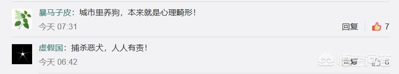 女孩8年收养400只流浪狗:女生校内遭流浪狗围攻，流浪狗到底该不该捕杀？