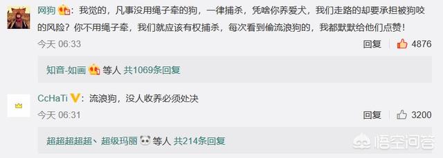 出售纯种泰皇脊背犬:什么地方卖纯种德国黑背狗？