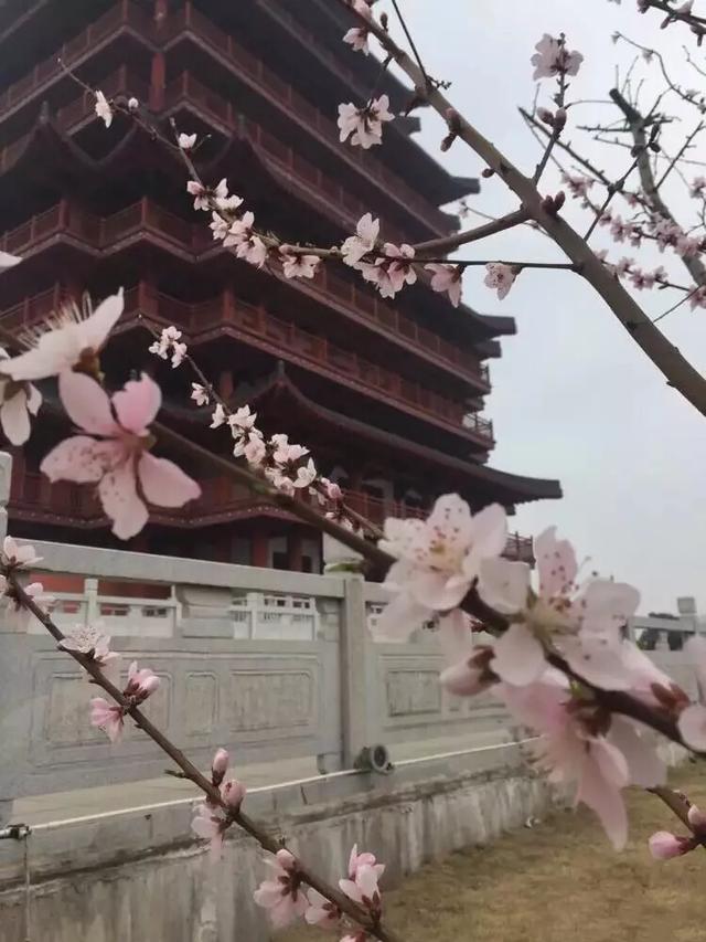 湖北天门出过多少名人？